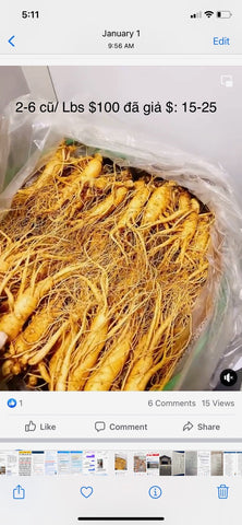 Korean Fresh Ginseng