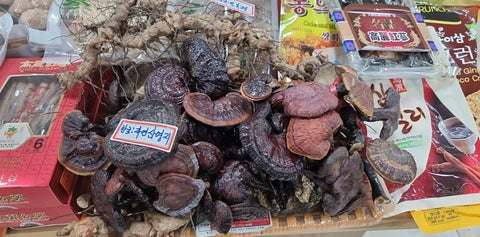 Korean Red Reishi Lingzhi Mushroom